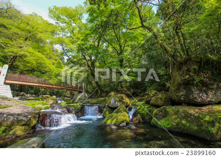 Kikuchi Gorge 23899160