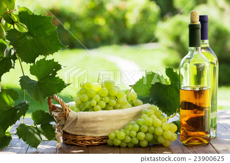 White wine and grapes 23900625