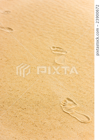 Human footprints on the sand Human footprints on the sand 23900672