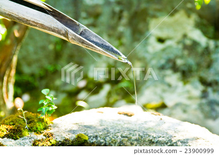 Shioshi Odoshi Shioshi Odoshi 23900999