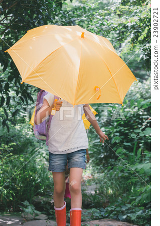 umbrella, brolly, girl 23902721