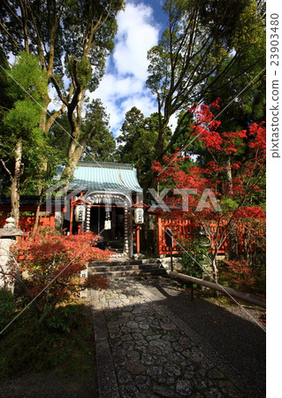 From Akayama Zen-in 23903480