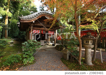 From Akayama Zen-in From Akayama Zen-in 23903481