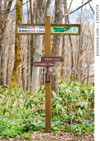 Signposted mountain signs Signposted mountain signs 23904254