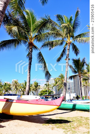 夏威夷的假期 夏威夷的假期 23905416