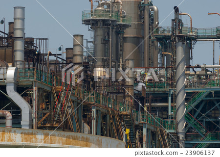 Plant 23906137