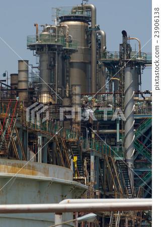 Plant 23906138