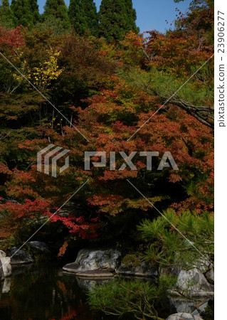 Mikaen 2015 Autumn leaves that 20 23906277