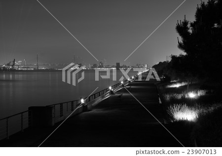 夜灣區的景觀 23907013