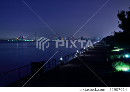 Landscape of the night's Bay Area 23907014