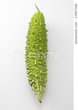 Bitter gourd 23907366