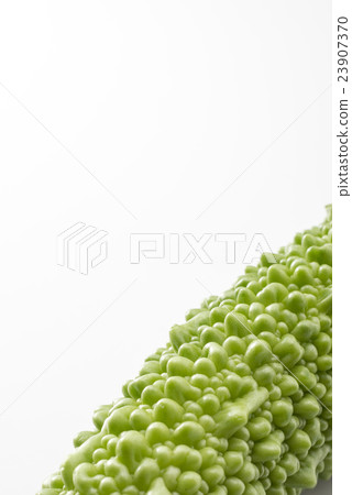 Bitter gourd 23907370