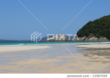 Sunflower Goto Island of Islands Fukue Island Takahama Beach Japan's 100 beaches 23907494