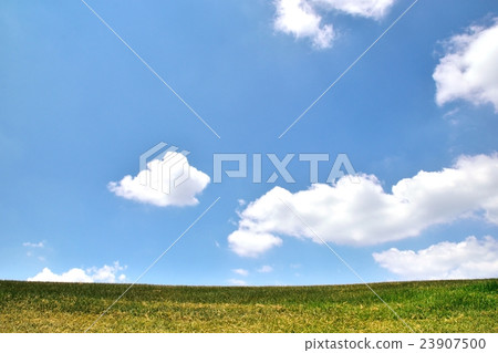 草坪和夏天天空拷貝空間的領域 草坪和夏天天空拷貝空間的領域 23907500
