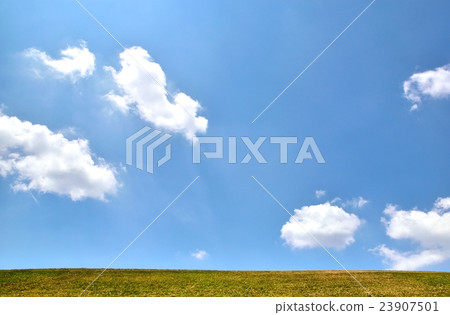 草坪和夏天天空拷貝空間的領域 草坪和夏天天空拷貝空間的領域 23907501