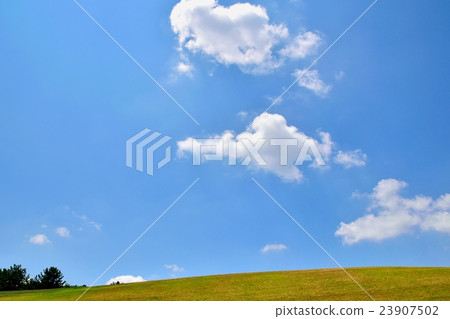 草坪和夏天天空拷貝空間的領域 草坪和夏天天空拷貝空間的領域 23907502