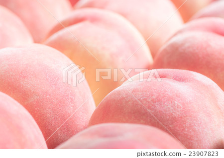 Peaches  23907823
