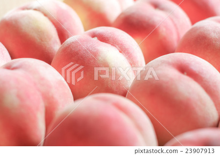 Peaches  23907913