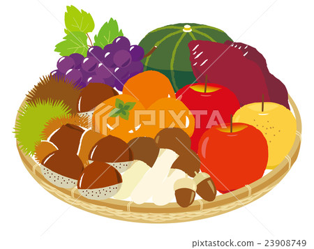 Autumn taste bouquet illustrations 23908749