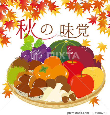 Autumn taste bouquet illustrations 23908750