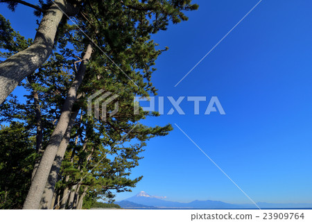Miho Matsubara和Mt. Fuji Shimizu的風景 Miho Matsubara和Mt. Fuji Shimizu的風景 23909764