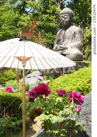 Peony of Hen Temple Okunoin 23910474