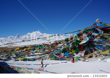 Shisha pamma seen from Tong La pass 23910803