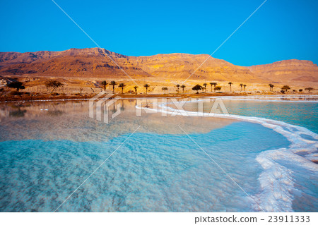 Dead Sea seashore with palm trees and mountains 23911333
