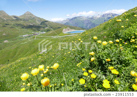 Hiking course flower garden Switzerland Hiking course flower garden Switzerland 23911553