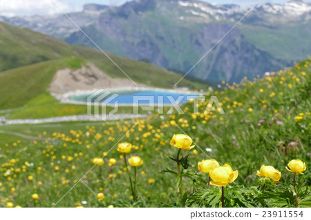 遠足路線花園瑞士 23911554