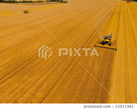 Harvest of Hokkaido wheat "Dreams" Harvest of Hokkaido wheat "Dreams" 23911981