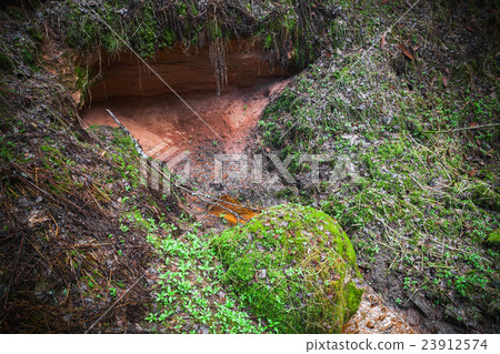 Small forest stream flowing from a spring 23912574