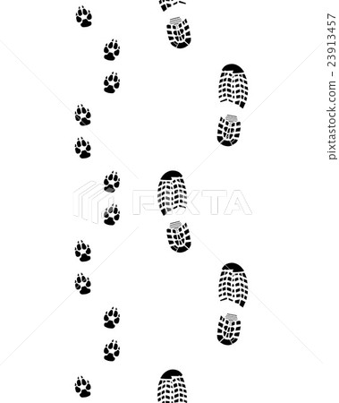 shoes and paws shoes and paws 23913457