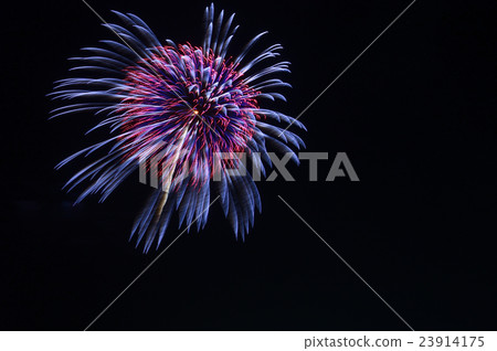煙花 煙花 23914175