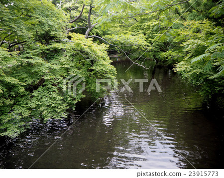 YUFUIN, FUKUOKA ,JAPAN 23915773