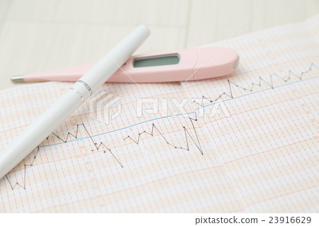 Basal body temperature of pregnancy Basal body temperature of pregnancy 23916629