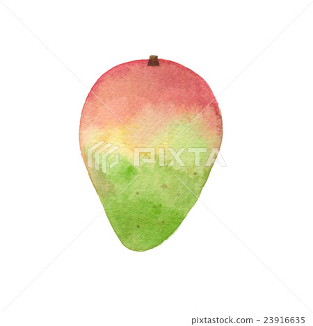 mango mango 23916635