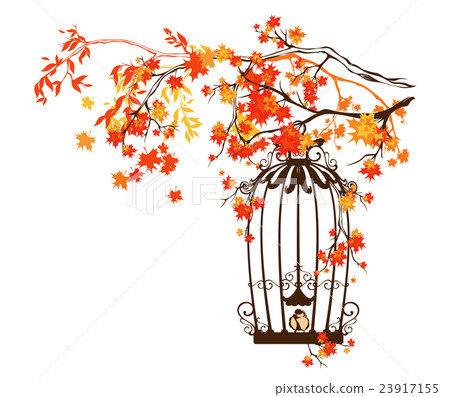 bird cage among autumn tree branches  23917155