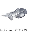 Iron Silver illustration. Shining brush stroke 23917999