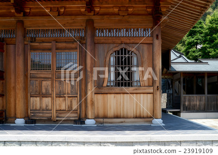 Fireplace window 23919109
