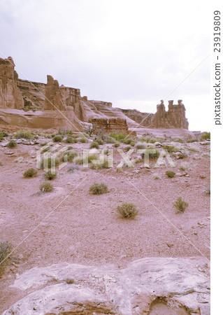 Desert rock 23919809
