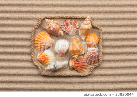 Beautiful frame made of rope and sea shells  23920044
