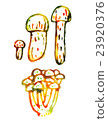 蘑菇 23920376