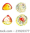 栗子 23920377