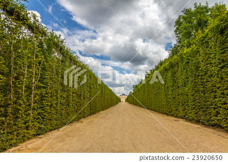 The nice gardens of Versailles Palace 23920650