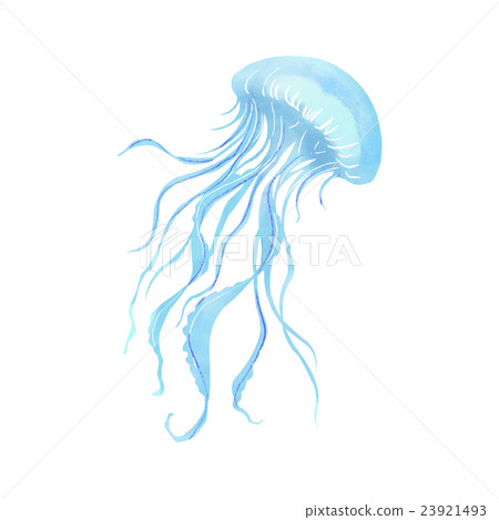 籠子 籠子 23921493