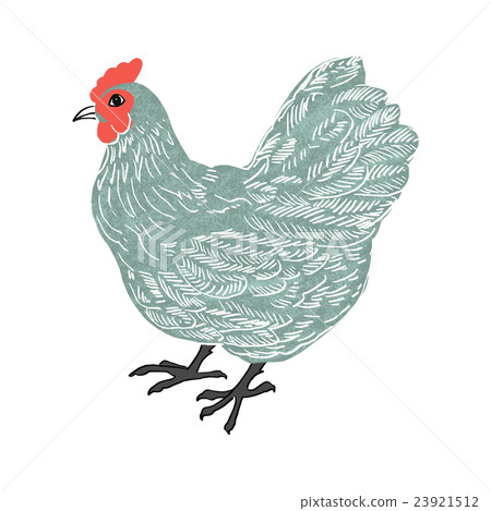 Chicken 23921512