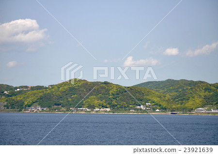 千葉縣金谷港的圖片 千葉縣金谷港的圖片 23921639