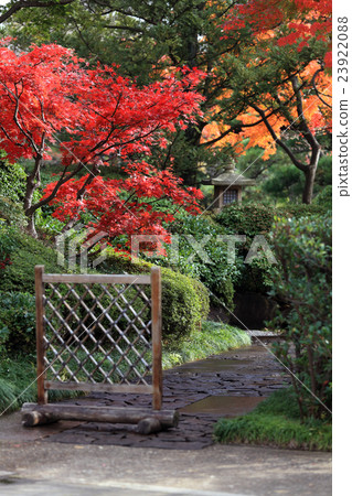 秋季葉子線船公園 23922088