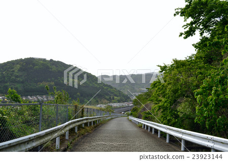 Kanagawa prefecture Yamakita-machi Photo 23923144